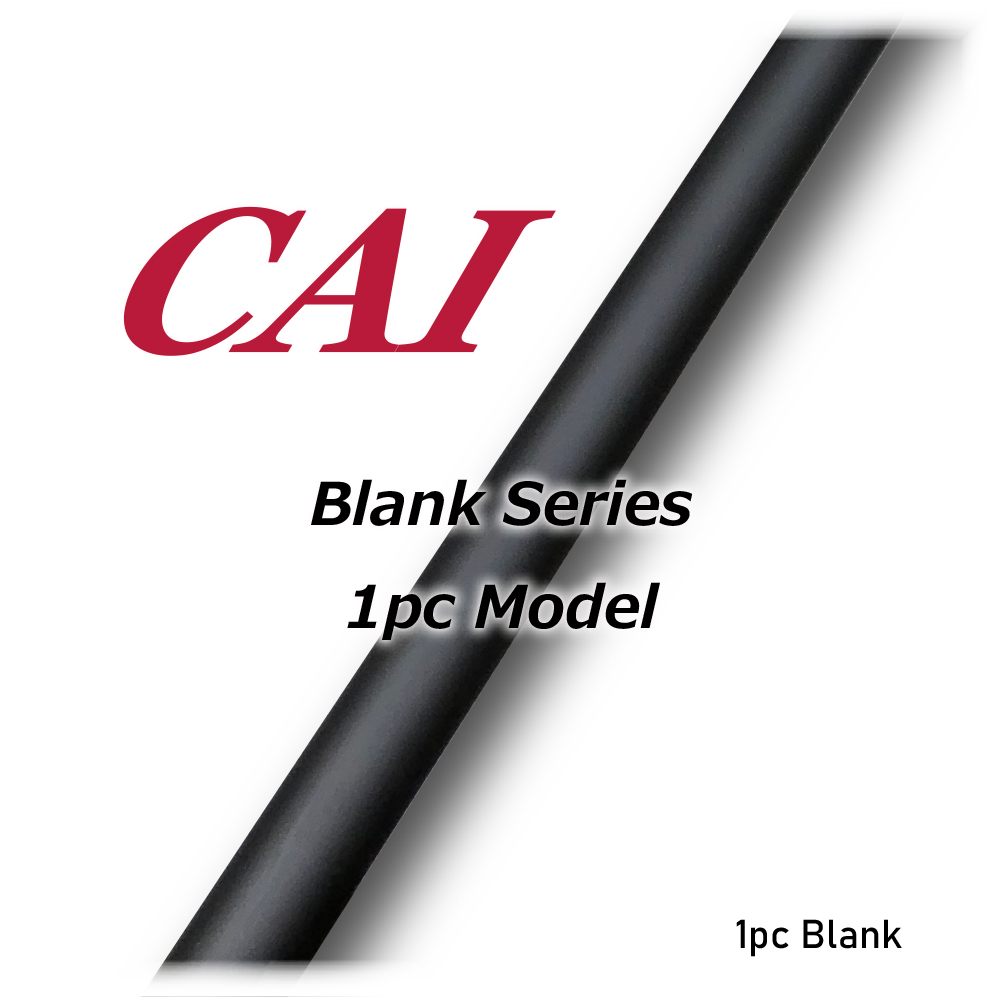 CAI 1pcs BLANK