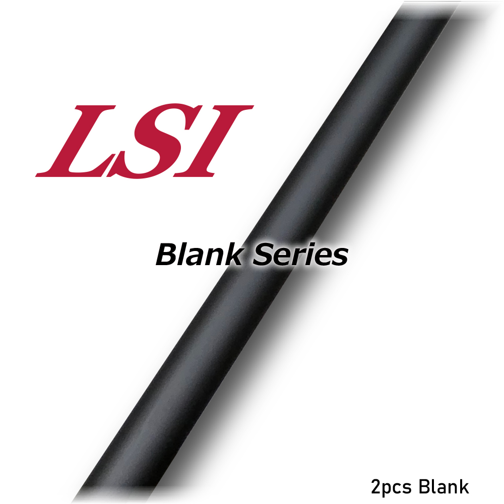 LSI BLANK