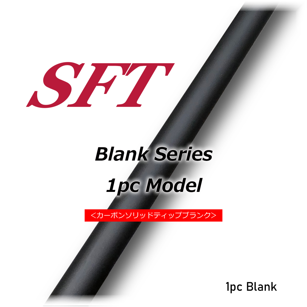 SFT 1pcs BLANK