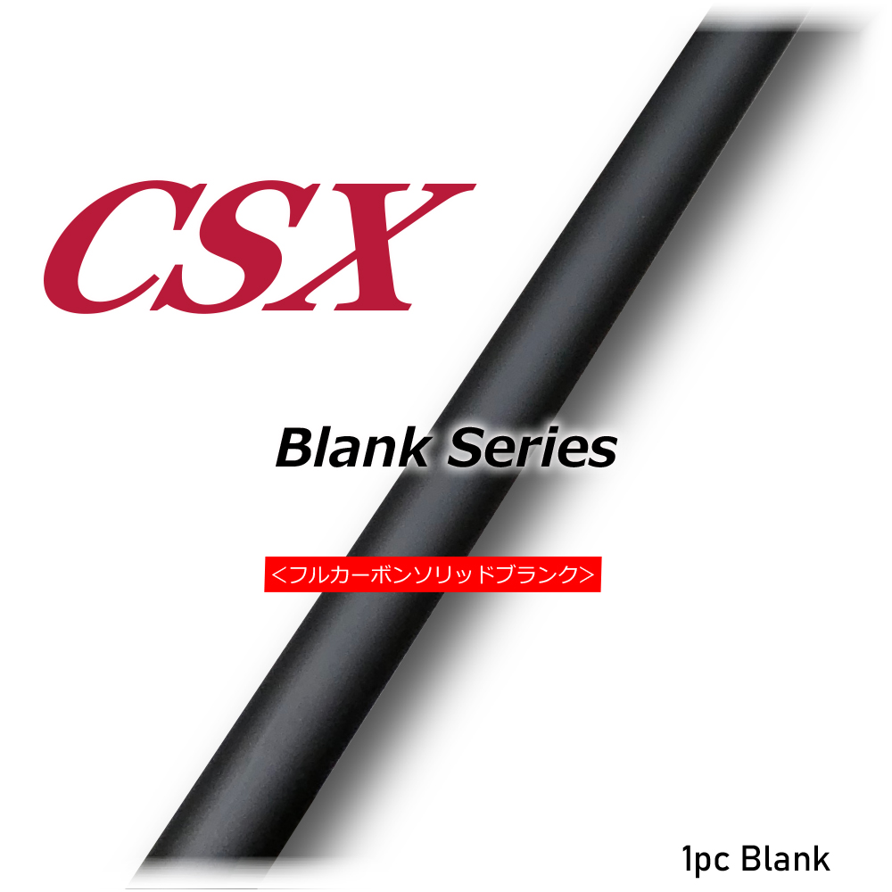 CSX BLANK