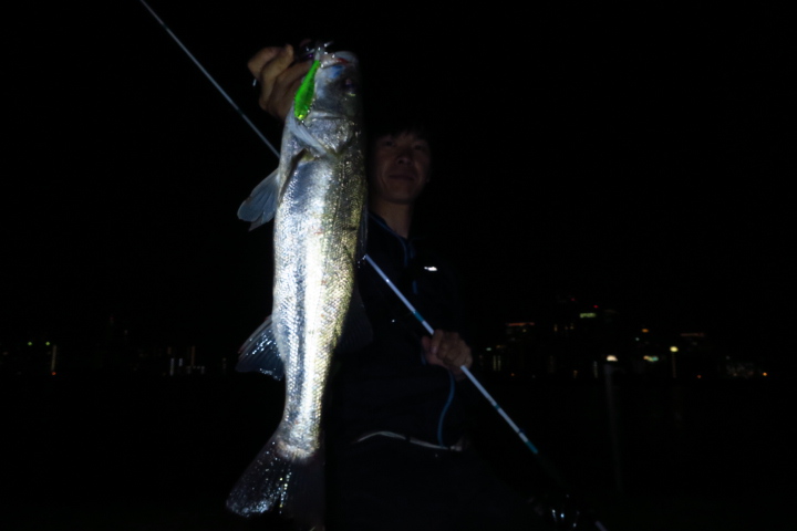 IMG_0081 IMG_0081