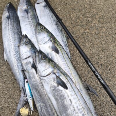 スタッフ乾 和歌山 10/5和歌山ショアジギング