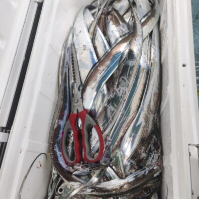 スタッフ乾 明石 恵比寿丸でタチジギング