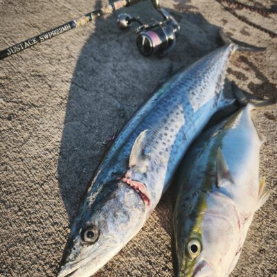 和歌山県中紀でショアジギング 9/13