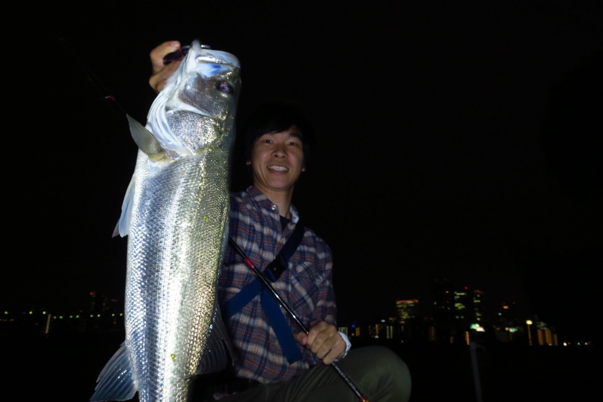 淀川シーバス釣行記17’ 9/22  雨後の釣り