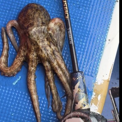 海蓮丸さんにてタコ釣りレポート 2026/6/20