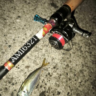 スタッフ乾 田ノ浦漁港でアジング釣行8/30
