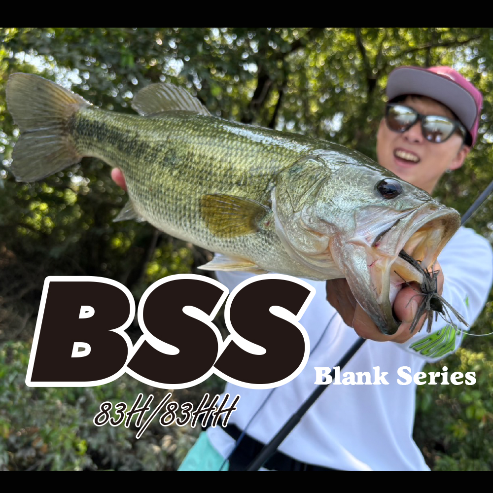 BSS BLANK