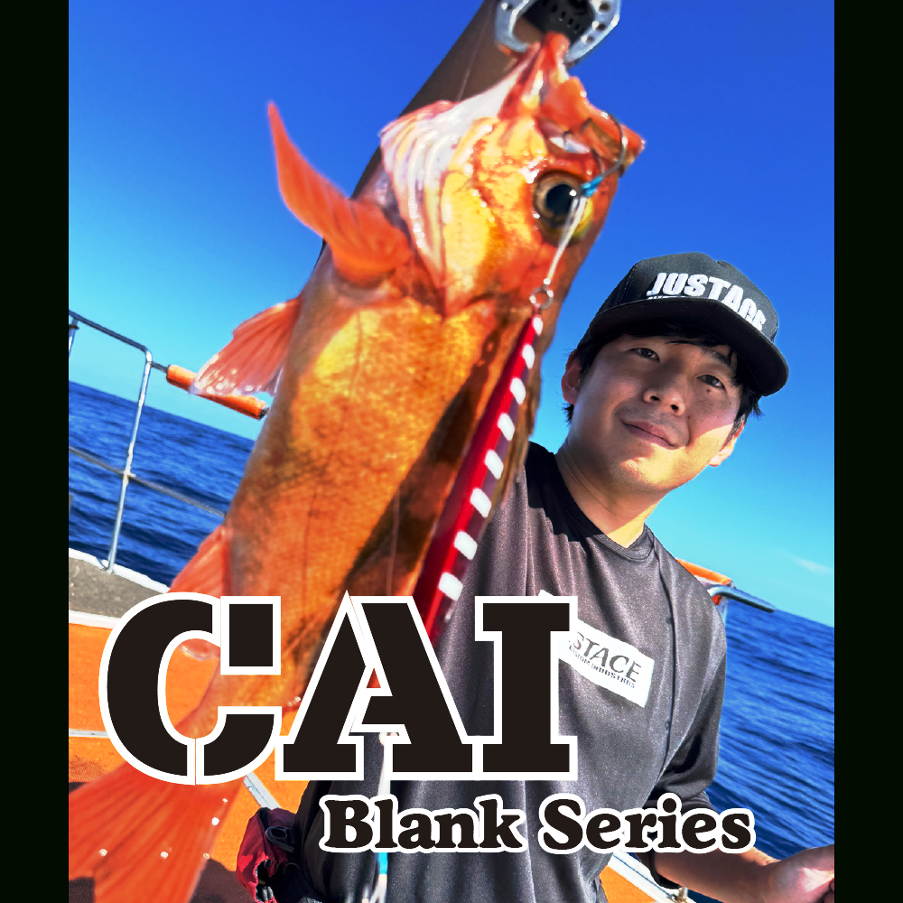CAI 1pcs BLANK