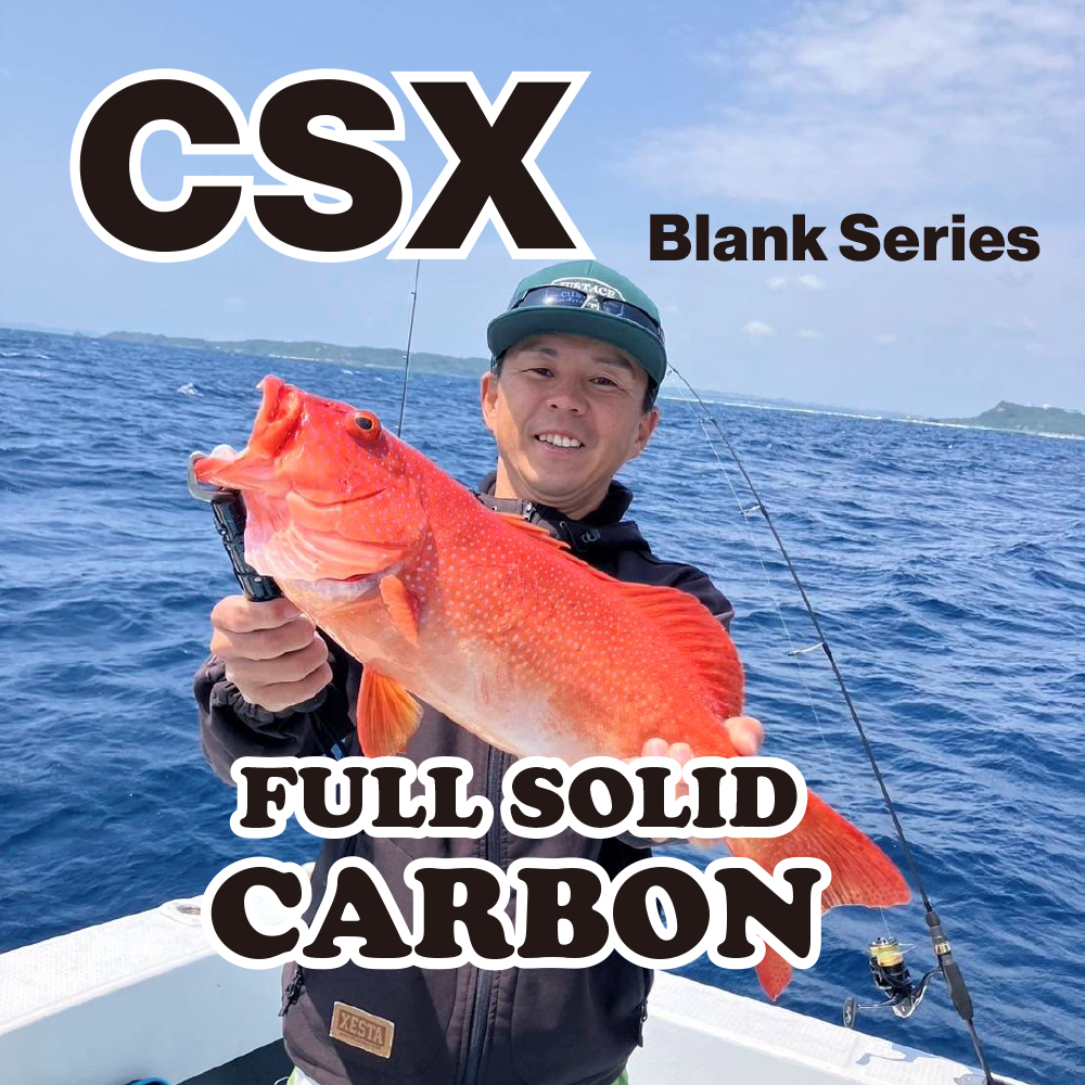 CSX BLANK