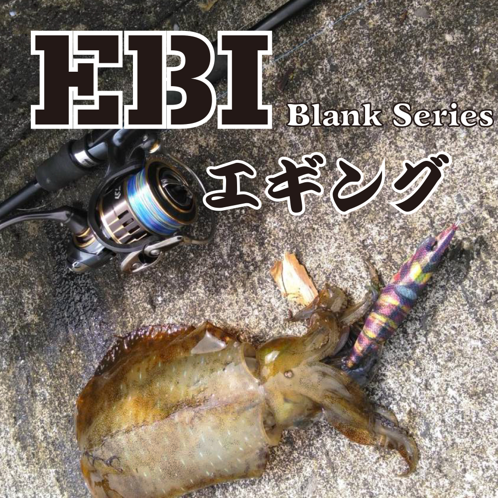 EBI BLANK