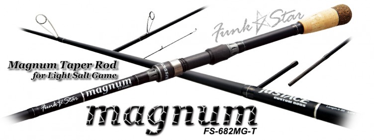 fs-682mg-t-columns11