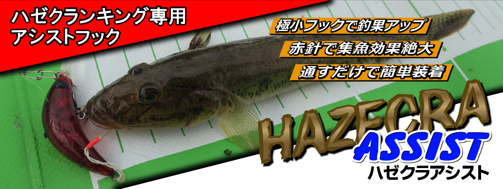 ハゼクラアシスト