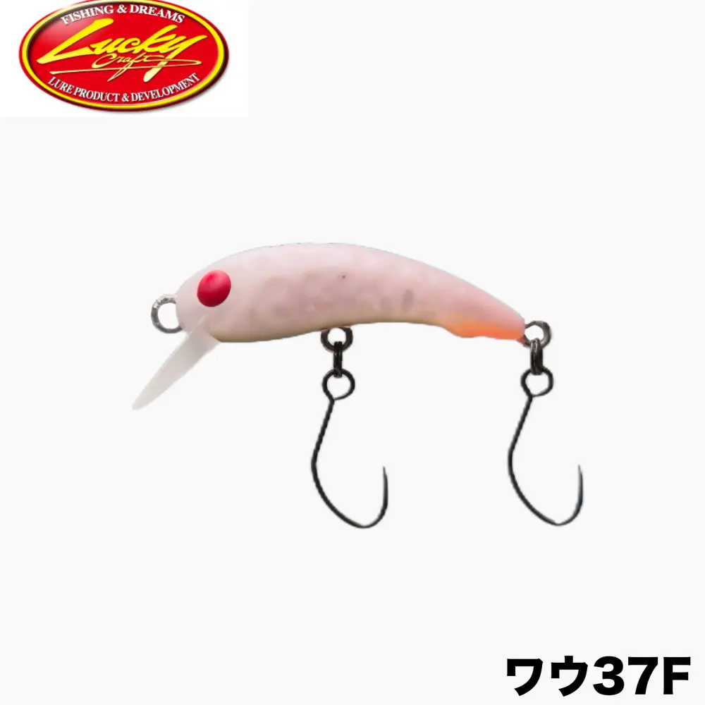 ワウ37F Justace別注カラー