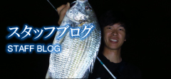 ジャストエース　ファイブコアスタッフブログ